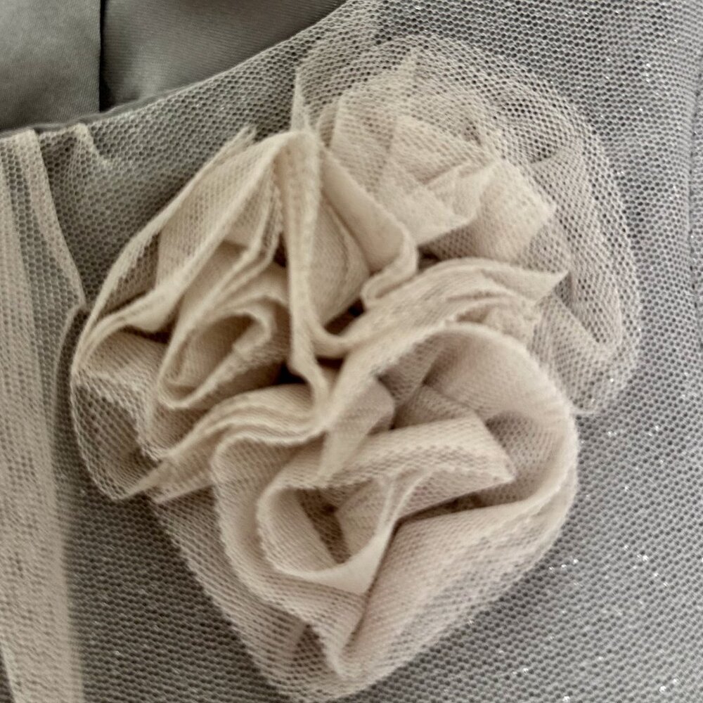H&M Girls Gray Tulle Party Dress with Floral Accent - Picture 4 of 11